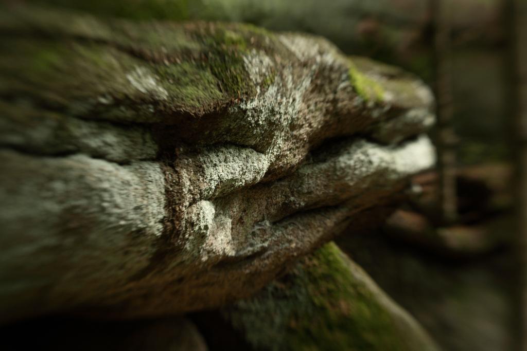Landhaus Am Forst バート・アレクサンダースバート エクステリア 写真